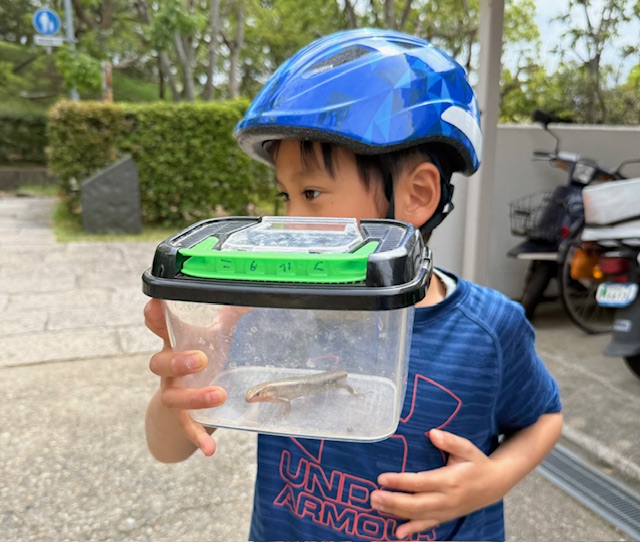 引き寄せの法則から始まる？